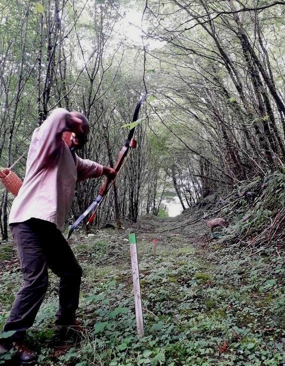 Des Journées découverte du tir à l'arc 3D nature sous le viaduc pour  connaître son potentiel - Glénic (23380)